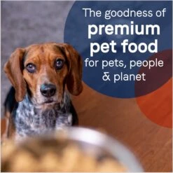 CANIDAE PURE All Stages Grain-Free Limited Ingredient Lamb Recipe Canned Dog Food, 13-oz -Blue Buffalo || ROYAL CANIN || Wellness Sales 51414 PT6. AC SS1800 V1673463357