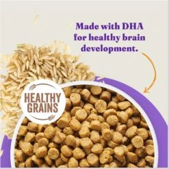 Halo Holistic Complete Digestive Health Chicken & Brown Rice Recipe Puppy Dry Dog Food 15 Halo Holistic Complete Digestive Health Chicken & Brown Rice Recipe Puppy Dry Dog Food -Blue Buffalo || ROYAL CANIN || Wellness Sales 51467 PT4. AC SS1800 V1675712634