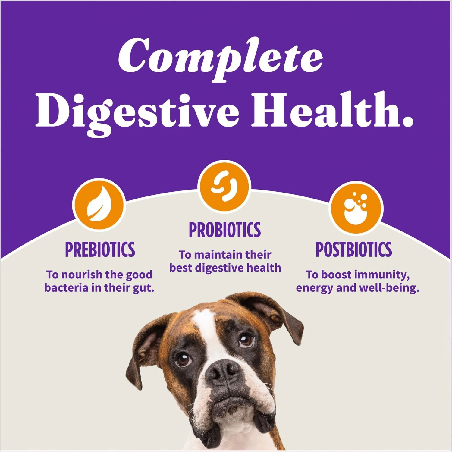 Halo Holistic Complete Digestive Health Chicken & Brown Rice Recipe Puppy Dry Dog Food 10 Halo Holistic Complete Digestive Health Chicken & Brown Rice Recipe Puppy Dry Dog Food - Image 8