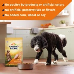 Nature's Recipe Grain-Free Chicken, Sweet Potato & Pumpkin Recipe Dry Dog Food -Blue Buffalo || ROYAL CANIN || Wellness Sales 51502 PT4. AC SS1800 V1672851291