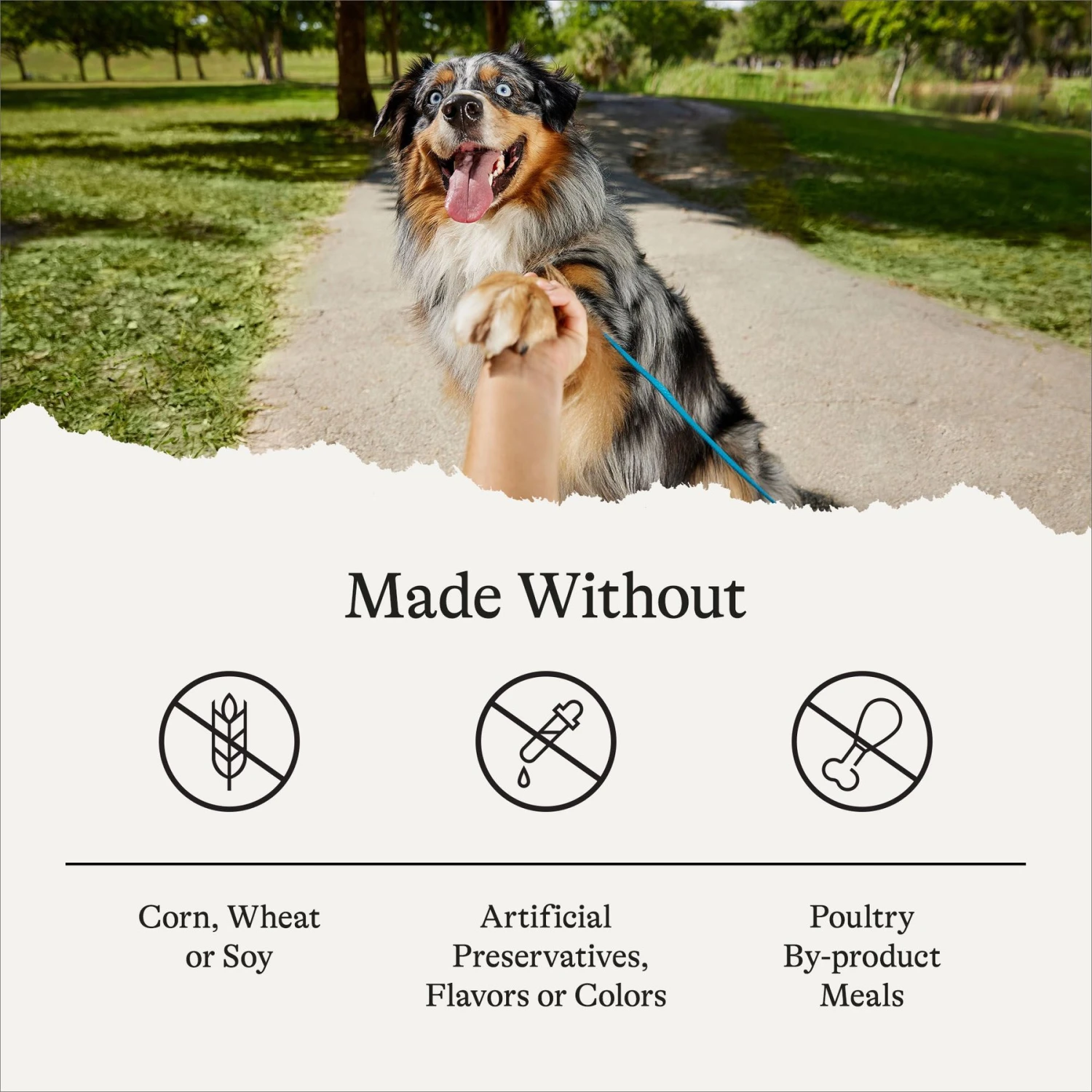 American Journey Poultry & Beef Variety Pack Canned Dog Food, 12.5-oz, Case Of 12 & American Journey Protein & Grains Chicken, Brown Rice & Vegetables Recipe Dry Dog Food 11 American Journey Poultry & Beef Variety Pack Canned Dog Food, 12.5-oz, Case Of 12 & American Journey Protein & Grains Chicken, Brown Rice & Vegetables Recipe Dry Dog Food - Image 9