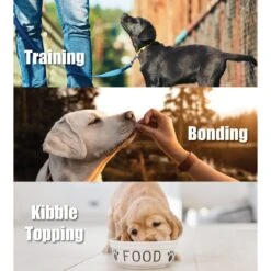 Whole Life Just One Ingredient Pure Salmon Fillet Freeze-Dried Dog Treats 10 Whole Life Just One Ingredient Pure Salmon Fillet Freeze-Dried Dog Treats -Blue Buffalo || ROYAL CANIN || Wellness Sales 51685 PT2. AC SS1800 V1673978674