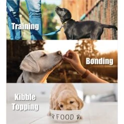 Whole Life Just One Ingredient Pure Beef Liver Freeze-Dried Dog & Cat Treats -Blue Buffalo || ROYAL CANIN || Wellness Sales 51686 PT2. AC SS1800 V1673989090