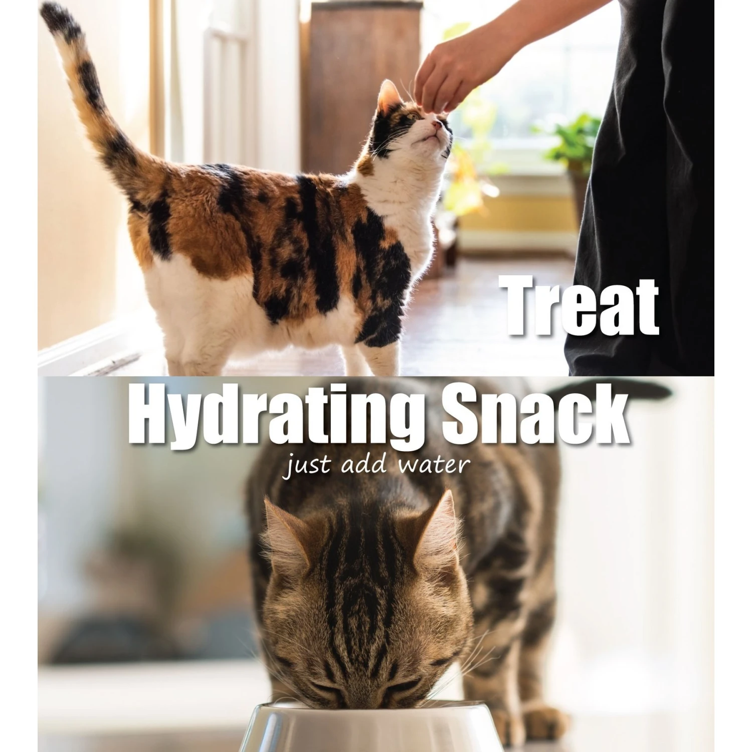 Whole Life Just One Ingredient Pure Chicken Breast Freeze-Dried Dog & Cat Treats 6 Whole Life Just One Ingredient Pure Chicken Breast Freeze-Dried Dog & Cat Treats - Image 4