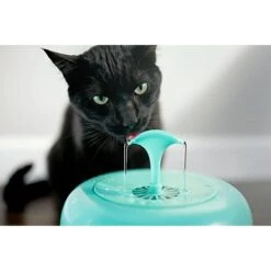 IntelliLeash Purrfect Water Fountain Dog & Cat Waterer 7 IntelliLeash Purrfect Water Fountain Dog & Cat Waterer -Blue Buffalo || ROYAL CANIN || Wellness Sales 517054 PT2. AC SS1800 V1651557382