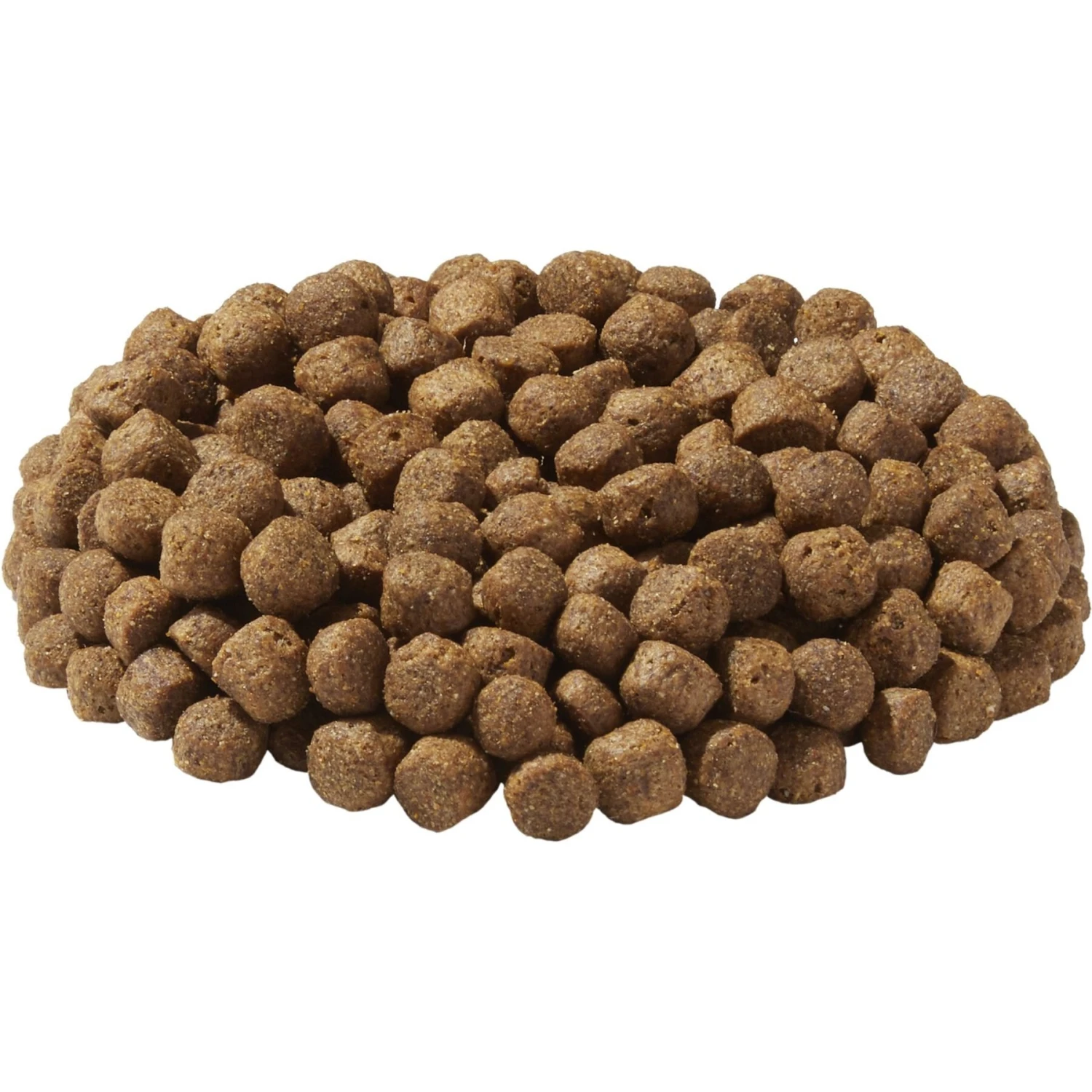 Dr. Gary's Best Breed Holistic Senior Reduced Calorie Dry Dog Food 7 Dr. Gary's Best Breed Holistic Senior Reduced Calorie Dry Dog Food - Image 5