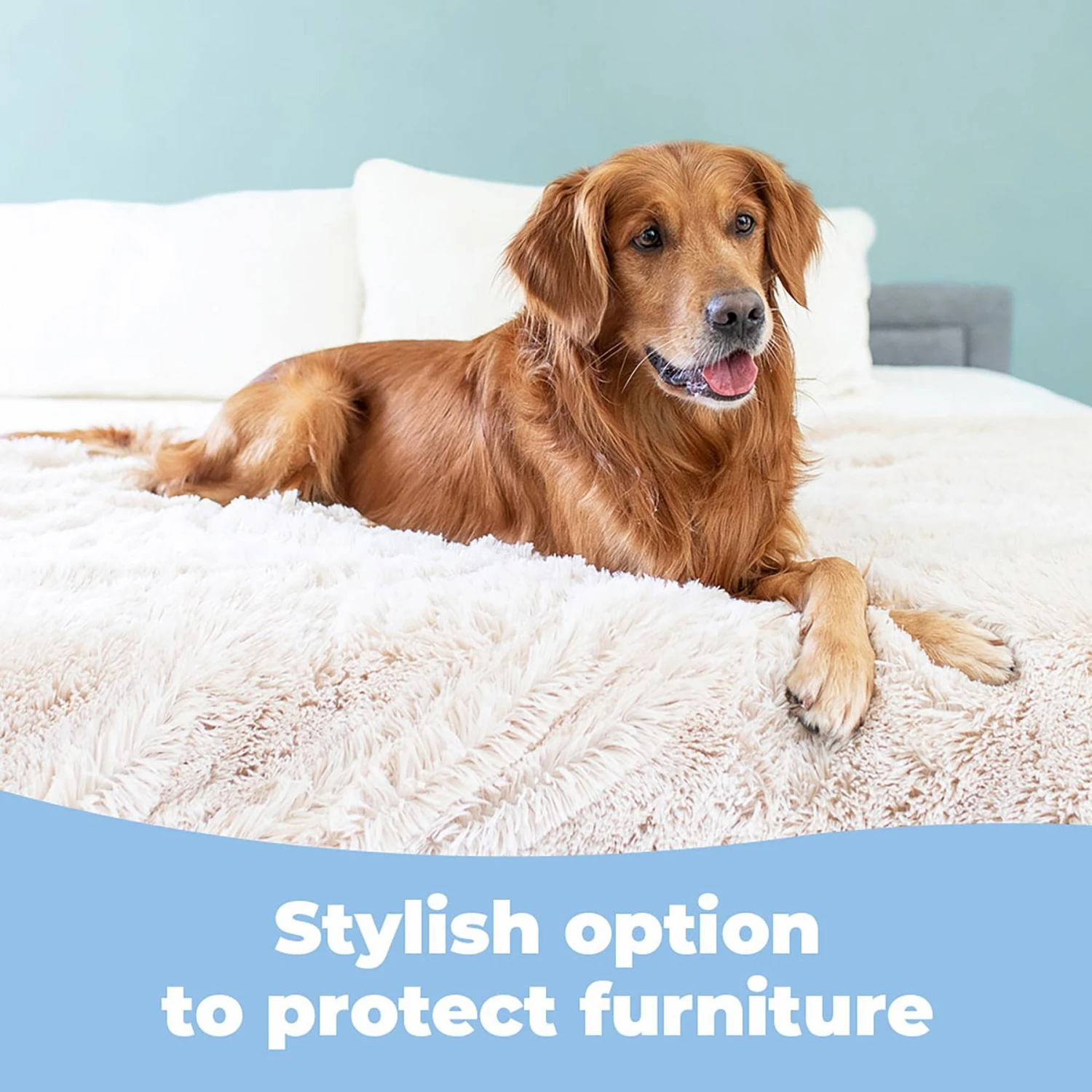 Alpha Paw PawProof Dog Throw Blanket 4 Alpha Paw PawProof Dog Throw Blanket - Image 2