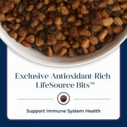 Blue Buffalo Basics Skin & Stomach Care Turkey & Potato Recipe Senior Dry Dog Food -Blue Buffalo || ROYAL CANIN || Wellness Sales 51892 PT7. AC SS1800 V1646280691