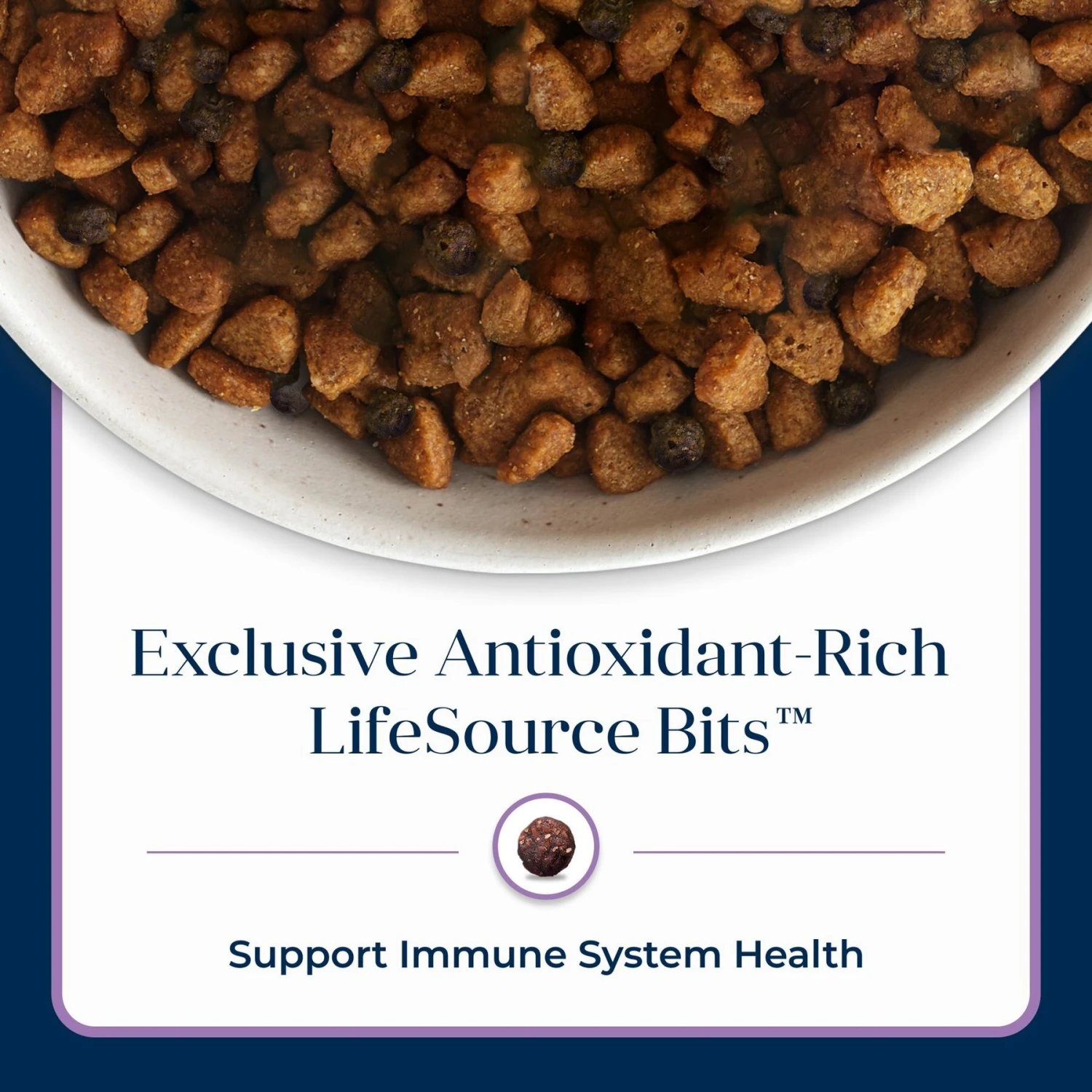 Blue Buffalo Basics Skin & Stomach Care Turkey & Potato Recipe Small Breed Adult Dry Dog Food 10 Blue Buffalo Basics Skin & Stomach Care Turkey & Potato Recipe Small Breed Adult Dry Dog Food - Image 8