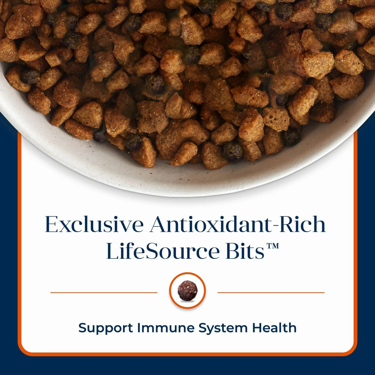 Blue Buffalo Basics Skin & Stomach Care Turkey & Potato Recipe Large Breed Adult Dry Dog Food 10 Blue Buffalo Basics Skin & Stomach Care Turkey & Potato Recipe Large Breed Adult Dry Dog Food - Image 8