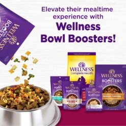 Wellness Small Breed Complete Health Puppy Turkey, Oatmeal & Salmon Meal Recipe Dry Dog Food 14 Wellness Small Breed Complete Health Puppy Turkey, Oatmeal & Salmon Meal Recipe Dry Dog Food -Blue Buffalo || ROYAL CANIN || Wellness Sales 52087 PT5. AC SS1800 V1594908357