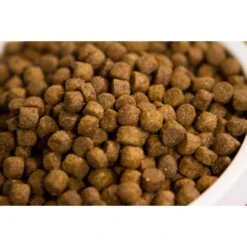 Dr. Gary's Best Breed Holistic Puppy Diet Dry Dog Food -Blue Buffalo || ROYAL CANIN || Wellness Sales 522078 PT3. AC SS1800 V1649962595