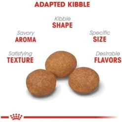 Royal Canin Size Health Nutrition X-Small Adult 8+ Dry Dog Food 14 Royal Canin Size Health Nutrition X-Small Adult 8+ Dry Dog Food -Blue Buffalo || ROYAL CANIN || Wellness Sales 52396 PT3. AC SS1800 V1697213407