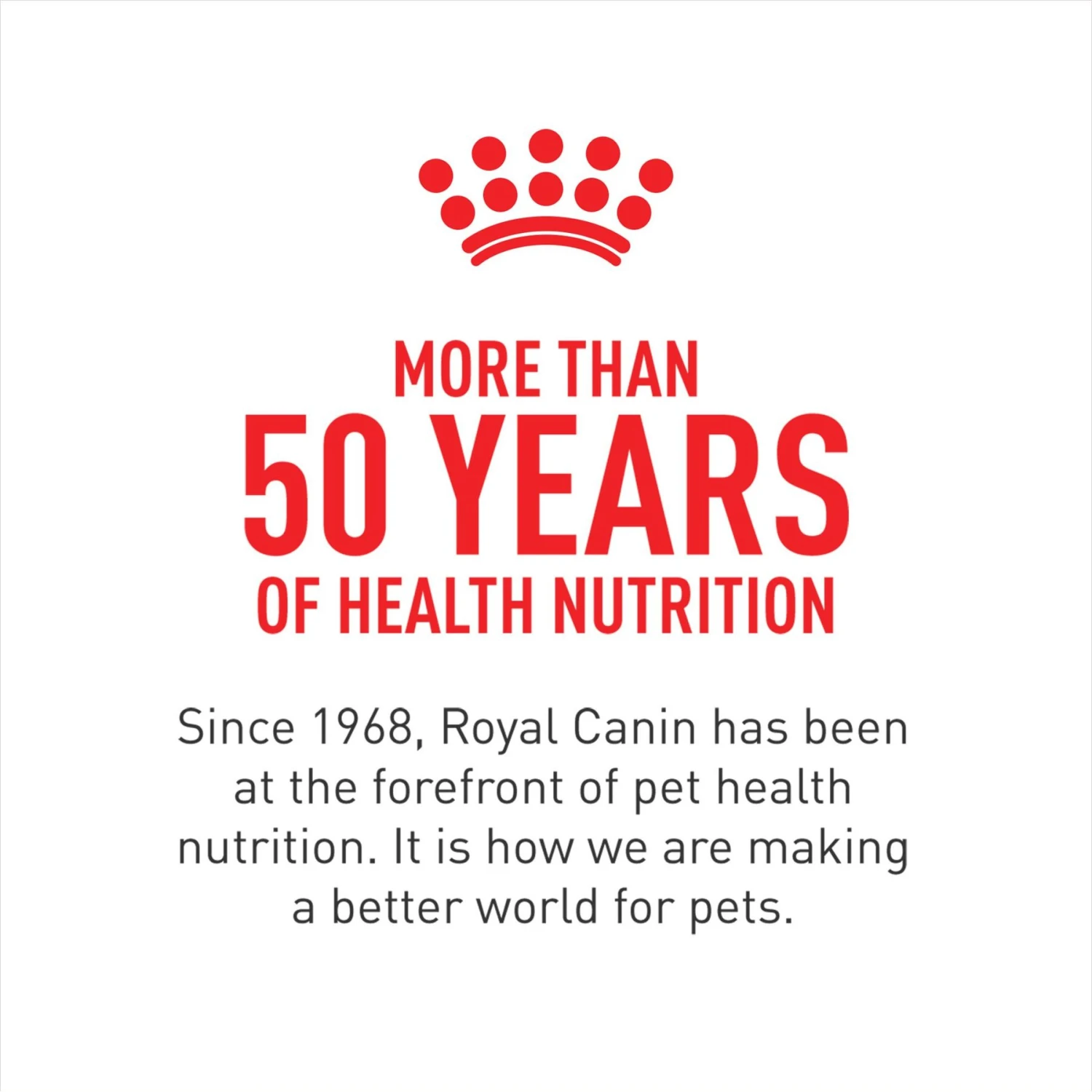 Royal Canin Size Health Nutrition X-Small Aging 12+ Dry Dog Food 10 Royal Canin Size Health Nutrition X-Small Aging 12+ Dry Dog Food - Image 8