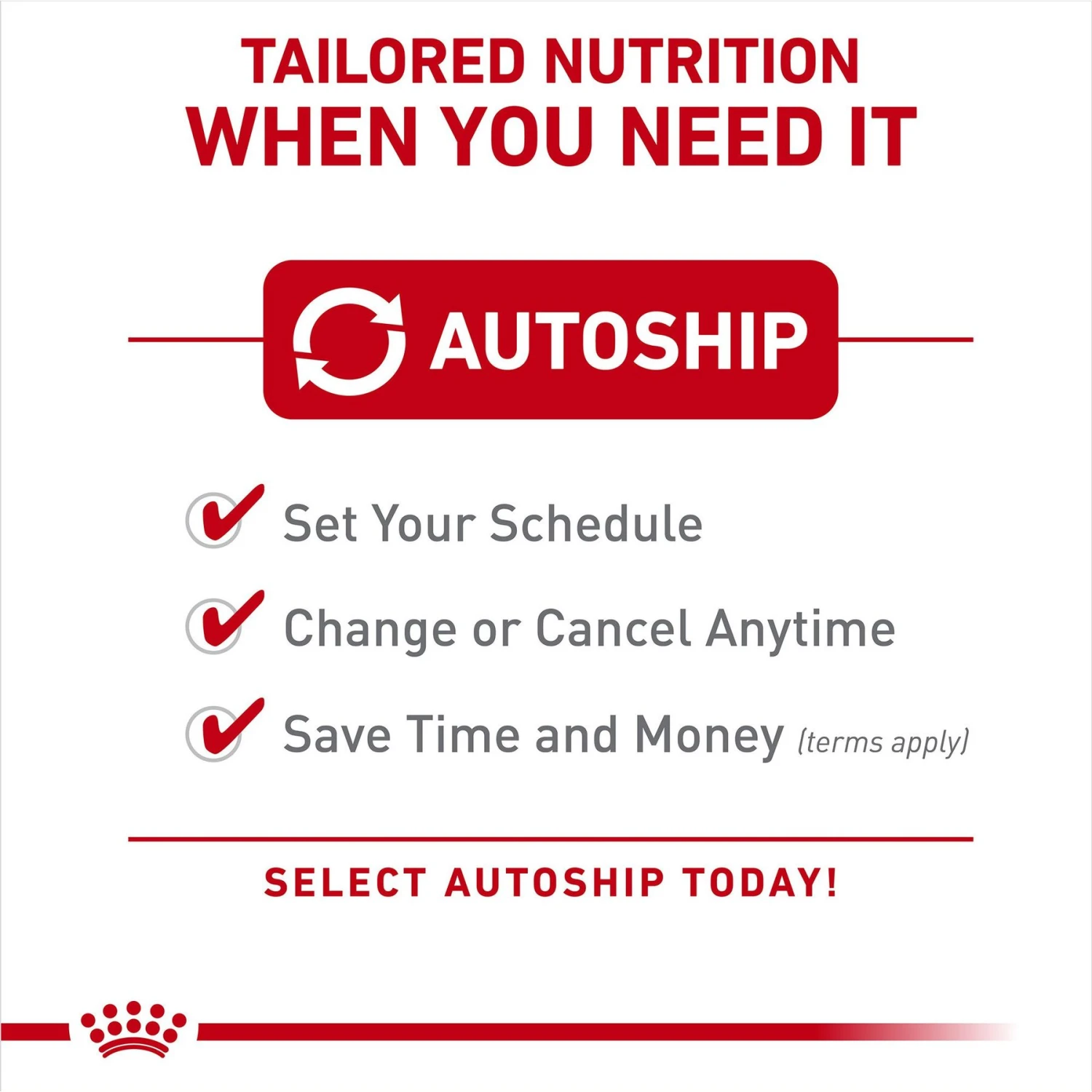 Royal Canin Size Health Nutrition X-Small Aging 12+ Dry Dog Food 11 Royal Canin Size Health Nutrition X-Small Aging 12+ Dry Dog Food - Image 9