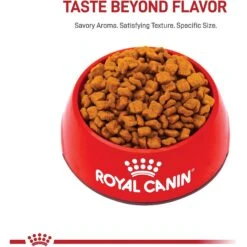 Royal Canin Breed Health Nutrition Bulldog Puppy Dry Dog Food -Blue Buffalo || ROYAL CANIN || Wellness Sales 52515 PT1. AC SS1800 V1697142918