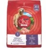 Purina ONE SmartBlend Vibrant Maturity 7+ Formula Adult Premium Dry Dog Food -Blue Buffalo || ROYAL CANIN || Wellness Sales 52544 MAIN. AC SS1800 V1676050815