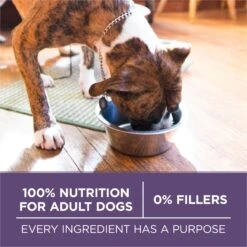 Purina ONE SmartBlend Vibrant Maturity 7+ Formula Adult Premium Dry Dog Food -Blue Buffalo || ROYAL CANIN || Wellness Sales 52544 PT5. AC SS1800 V1676317835