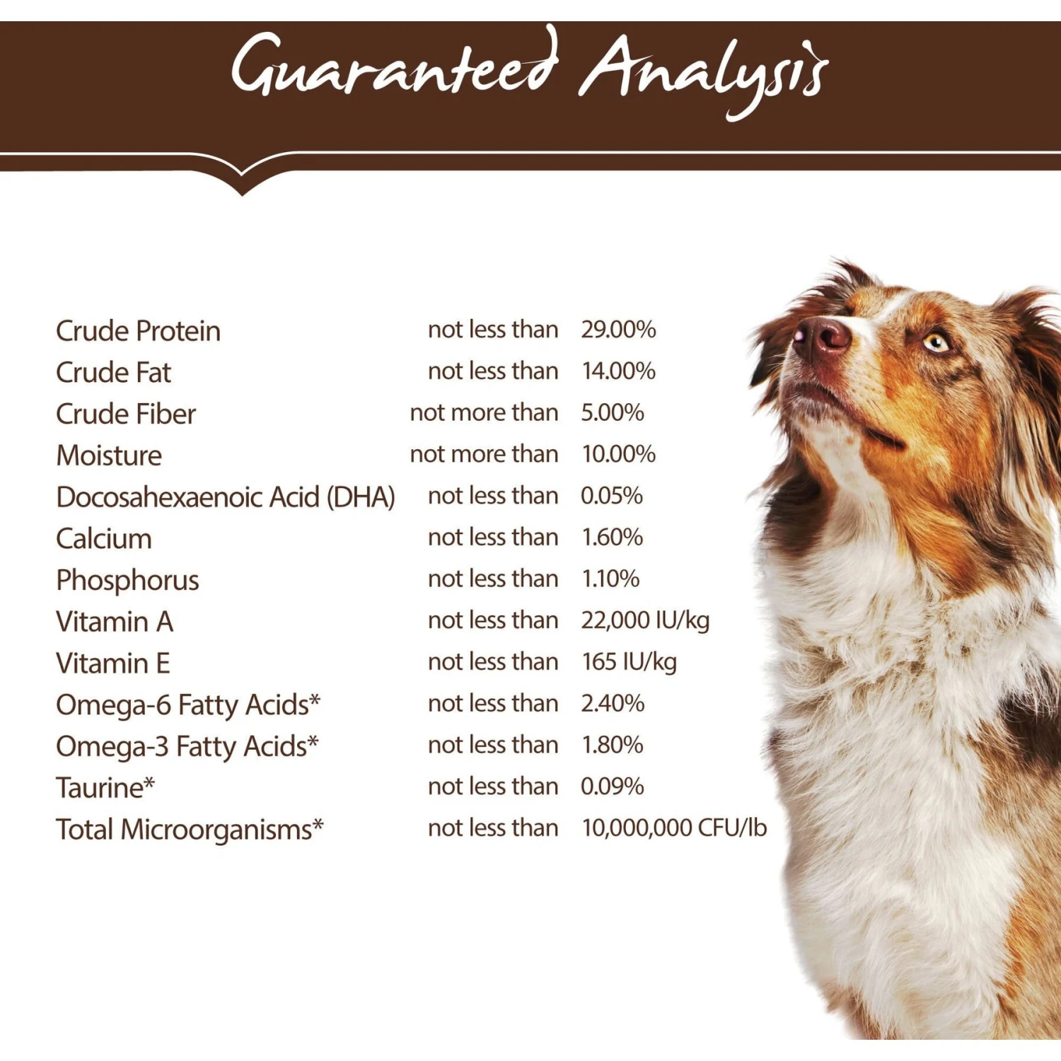 Holistic Select Adult & Puppy Grain-Free Salmon, Anchovy & Sardine Meal Recipe Dry Dog Food 6 Holistic Select Adult & Puppy Grain-Free Salmon, Anchovy & Sardine Meal Recipe Dry Dog Food - Image 4