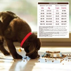 Holistic Select Adult & Puppy Grain-Free Salmon, Anchovy & Sardine Meal Recipe Dry Dog Food 14 Holistic Select Adult & Puppy Grain-Free Salmon, Anchovy & Sardine Meal Recipe Dry Dog Food -Blue Buffalo || ROYAL CANIN || Wellness Sales 52626 PT5. AC SS1800 V1660574180