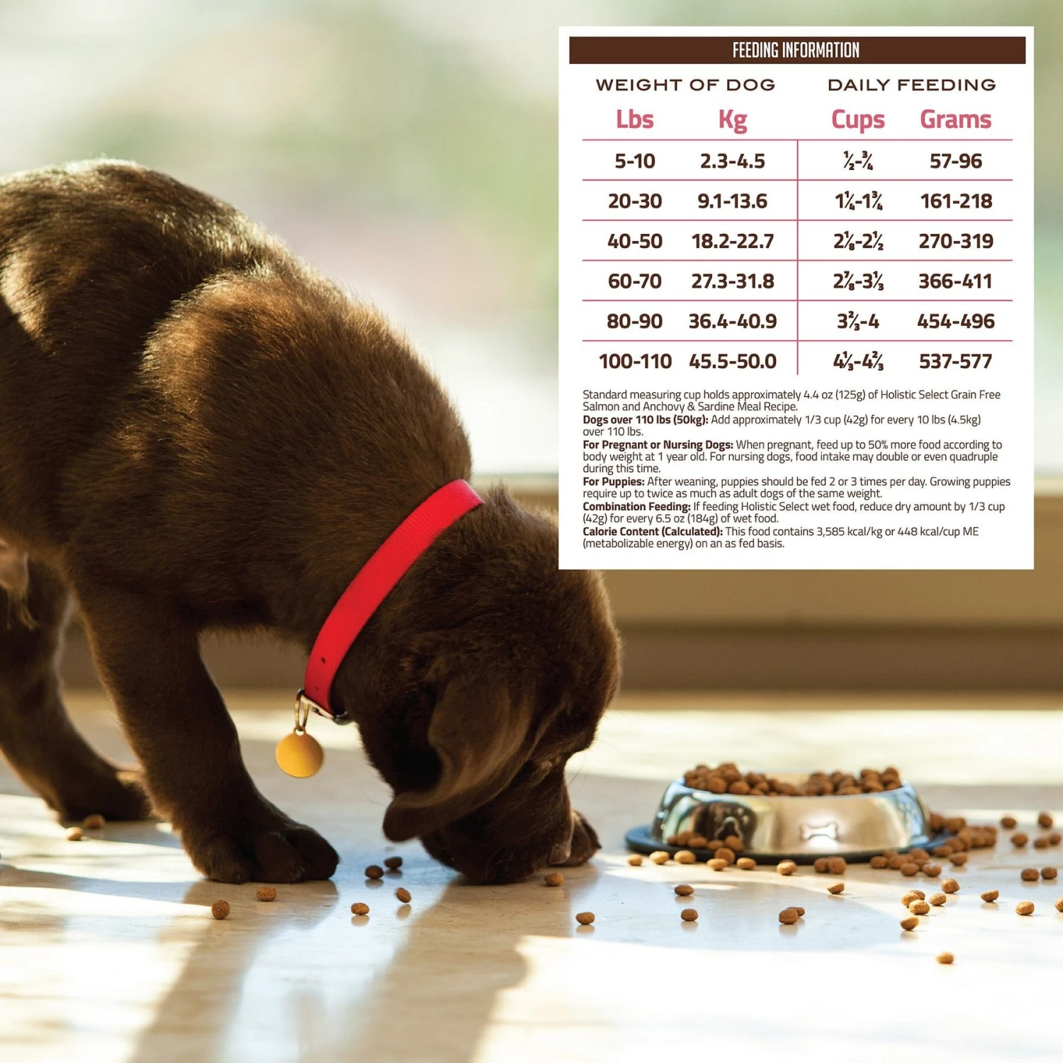 Holistic Select Adult & Puppy Grain-Free Salmon, Anchovy & Sardine Meal Recipe Dry Dog Food 7 Holistic Select Adult & Puppy Grain-Free Salmon, Anchovy & Sardine Meal Recipe Dry Dog Food - Image 5