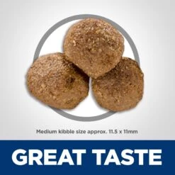 Hill's Science Diet Adult Lamb Meal & Brown Rice Recipe Dry Dog Food -Blue Buffalo || ROYAL CANIN || Wellness Sales 52687 PT2. AC SS1800 V1598150475