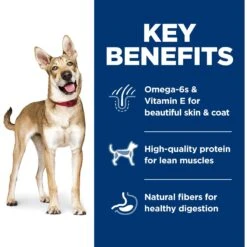 Hill's Science Diet Adult Lamb Meal & Brown Rice Recipe Dry Dog Food -Blue Buffalo || ROYAL CANIN || Wellness Sales 52687 PT4. AC SS1800 V1598157402