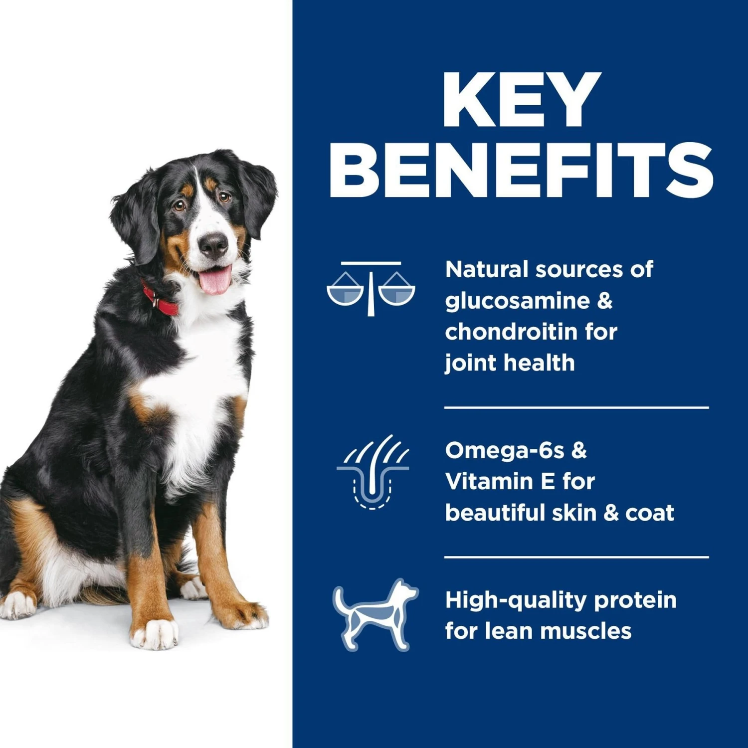 Hill's Science Diet Adult Large Breed Lamb Meal & Brown Rice Dry Dog Food 7 Hill's Science Diet Adult Large Breed Lamb Meal & Brown Rice Dry Dog Food - Image 5