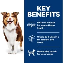 Hill's Science Diet Adult 7+ Chicken Meal, Rice & Barley Recipe Dry Dog Food -Blue Buffalo || ROYAL CANIN || Wellness Sales 52712 PT5. AC SS1800 V1598142986