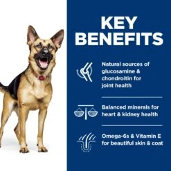 Hill's Science Diet Adult 6+ Large Breed Chicken Meal, Barley & Rice Dry Dog Food -Blue Buffalo || ROYAL CANIN || Wellness Sales 52715 PT5. AC SS1800 V1605841915