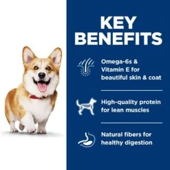 Hill's Science Diet Adult Small Bites Lamb Meal & Brown Rice Recipe Dry Dog Food 15 Hill's Science Diet Adult Small Bites Lamb Meal & Brown Rice Recipe Dry Dog Food -Blue Buffalo || ROYAL CANIN || Wellness Sales 52719 PT4. AC SS1800 V1598149565