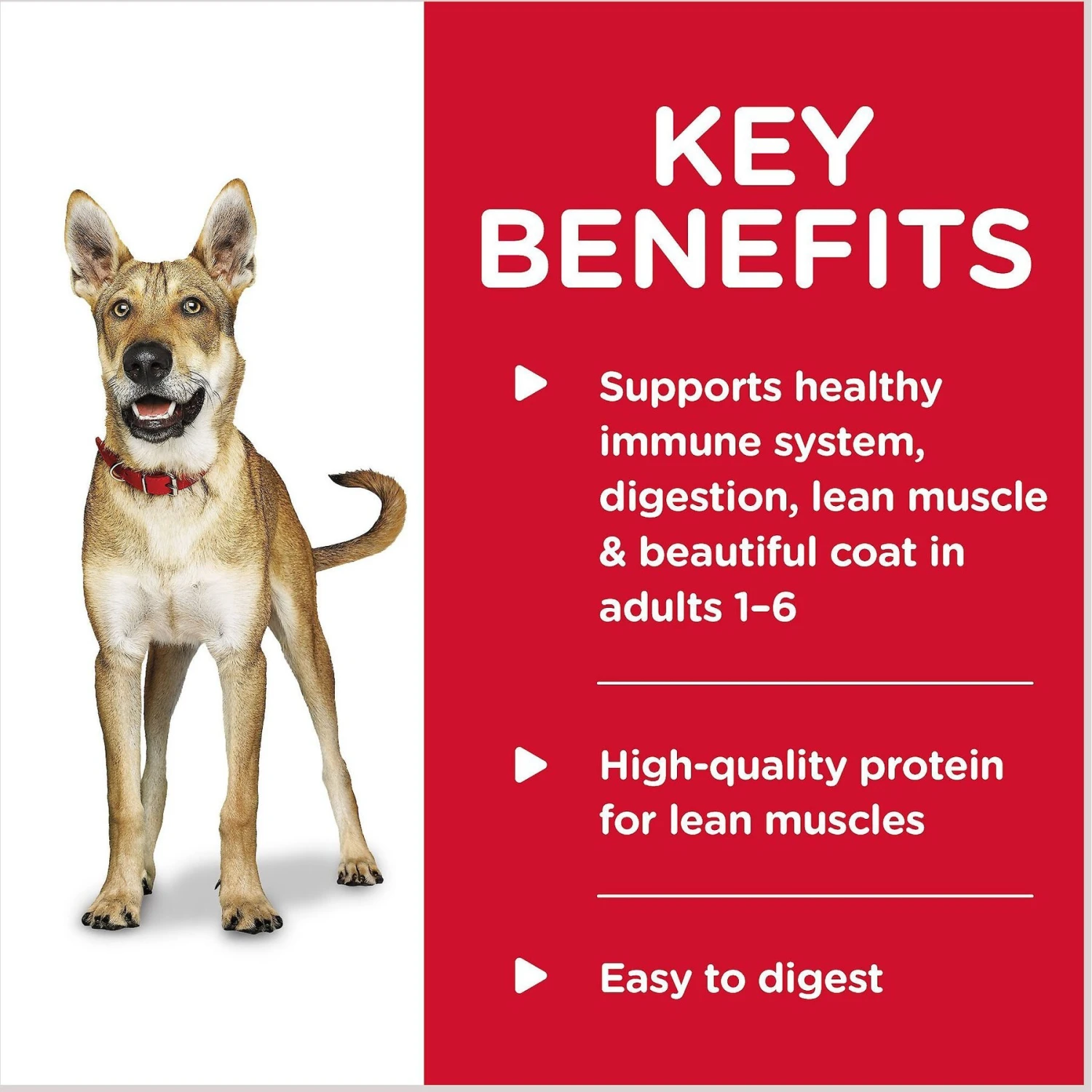 Hill's Science Diet Adult Savory Stew With Chicken & Vegetables Canned Dog Food 6 Hill's Science Diet Adult Savory Stew With Chicken & Vegetables Canned Dog Food - Image 4