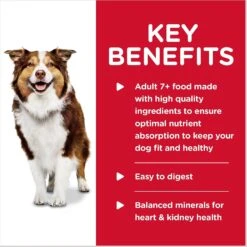 Hill's Science Diet Adult 7+ Turkey & Barley Entree Canned Dog Food, 13-oz, Case Of 12 -Blue Buffalo || ROYAL CANIN || Wellness Sales 52800 PT3. AC SS1800 V1598144763