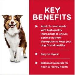 Hill's Science Diet Adult 7+ Savory Stew With Beef & Vegetables Canned Dog Food 14 Hill's Science Diet Adult 7+ Savory Stew With Beef & Vegetables Canned Dog Food -Blue Buffalo || ROYAL CANIN || Wellness Sales 52802 PT3. AC SS1800 V1598153162
