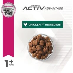 Eukanuba Fit Body Weight Control Small Breed Dry Dog Food -Blue Buffalo || ROYAL CANIN || Wellness Sales 533158 PT3. AC SS1800 V1657658634