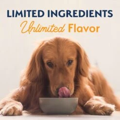 Natural Balance Limited Ingredient Reserve Grain-Free Duck & Potato Recipe Dry Dog Food -Blue Buffalo || ROYAL CANIN || Wellness Sales 537278 PT8. AC SS1800 V1652774190