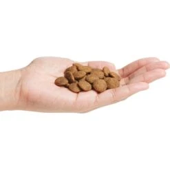 Natural Balance Limited Ingredient Lamb & Brown Rice Recipe Dry Dog Food -Blue Buffalo || ROYAL CANIN || Wellness Sales 537326 PT2. AC SS1800 V1657658873