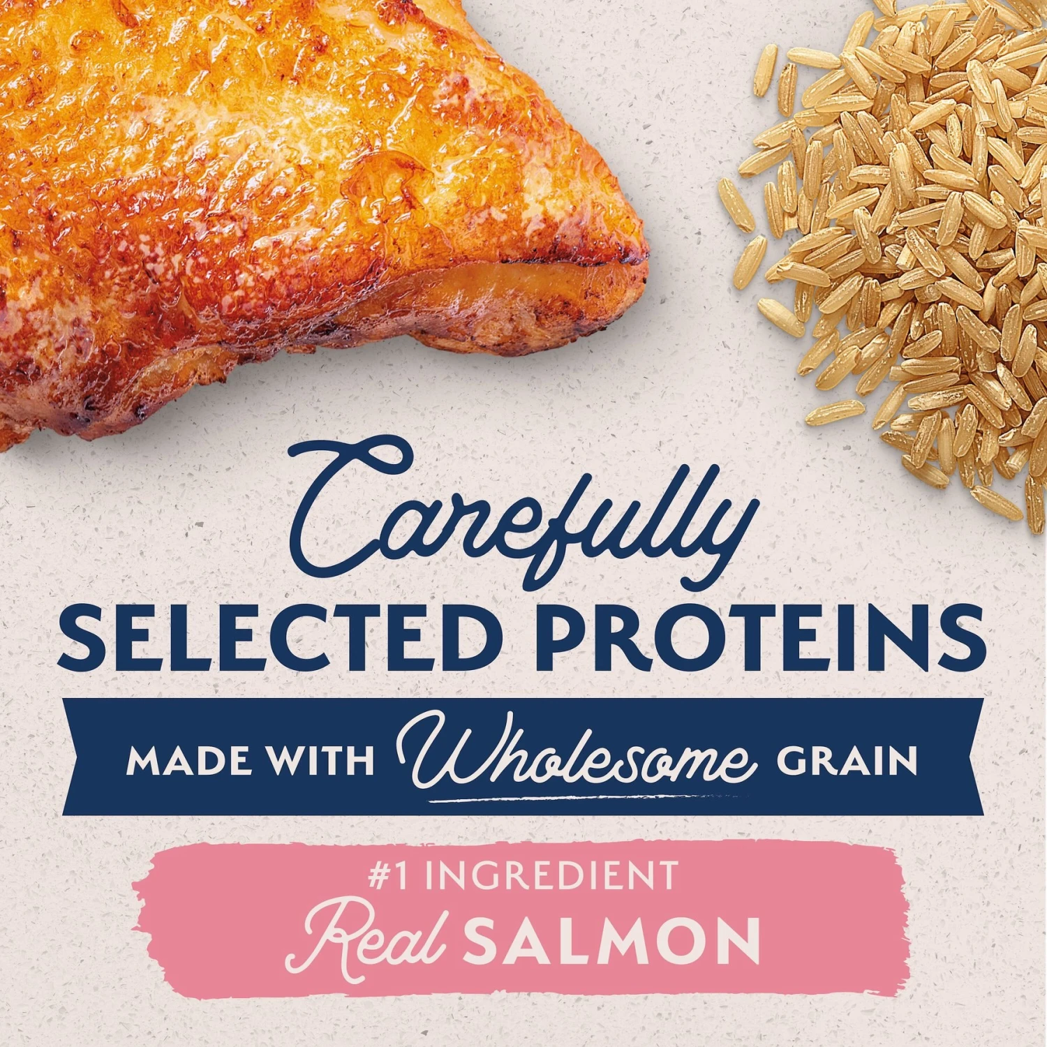 Natural Balance Limited Ingredient Salmon & Brown Rice Recipe Dry Dog Food 5 Natural Balance Limited Ingredient Salmon & Brown Rice Recipe Dry Dog Food - Image 3