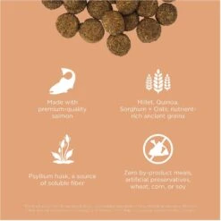 Go! Solutions Digestion + Gut Health Salmon Recipe With Ancient Grains For Dogs -Blue Buffalo || ROYAL CANIN || Wellness Sales 539534 PT2. AC SS1800 V1662064768