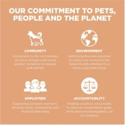 Go! Solutions Digestion + Gut Health Salmon Recipe With Ancient Grains For Dogs -Blue Buffalo || ROYAL CANIN || Wellness Sales 539534 PT8. AC SS1800 V1662061254