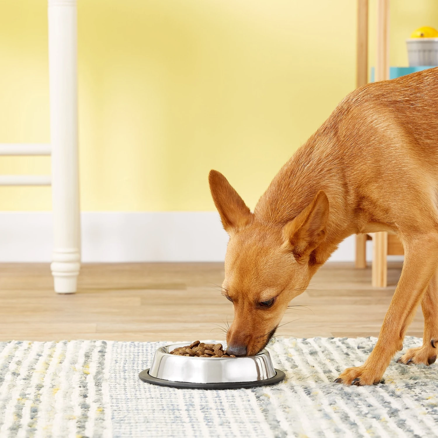 Loving Pets Non-Skid Stainless Steel Dog & Cat Bowl 4 Loving Pets Non-Skid Stainless Steel Dog & Cat Bowl - Image 2