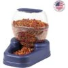 Bergan Gourmet Gravity Refill Dog Feeder -Blue Buffalo || ROYAL CANIN || Wellness Sales 54822 MAIN. AC SS1800 V1677957436