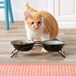 PetRageous Designs Buddy's Best Double Diner Elevated Dog & Cat Bowls -Blue Buffalo || ROYAL CANIN || Wellness Sales 54957 PT1. AC SS1800 V1539810118