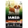 Iams Advanced Immune Health Chicken & Superfoods Adult Dry Dog Food -Blue Buffalo || ROYAL CANIN || Wellness Sales 550606 MAIN. AC SS1800 V1663081136