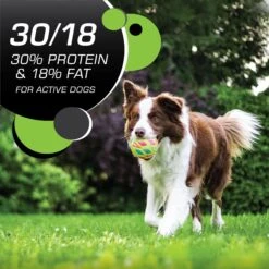 Iams Proactive Health Active Chicken & Turkey Recipe High Protein Adult Dry Dog Food 15 Iams Proactive Health Active Chicken & Turkey Recipe High Protein Adult Dry Dog Food -Blue Buffalo || ROYAL CANIN || Wellness Sales 551510 PT4. AC SS1800 V1657748503