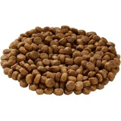 Health Extension Grain-Free Salmon Recipe Dry Dog Food & Health Extension Grain-Free Oven Baked Salmon Recipe With Kale Dog Treats 15 Health Extension Grain-Free Salmon Recipe Dry Dog Food & Health Extension Grain-Free Oven Baked Salmon Recipe With Kale Dog Treats -Blue Buffalo || ROYAL CANIN || Wellness Sales 551694 PT4. AC SS1800 V1657659453