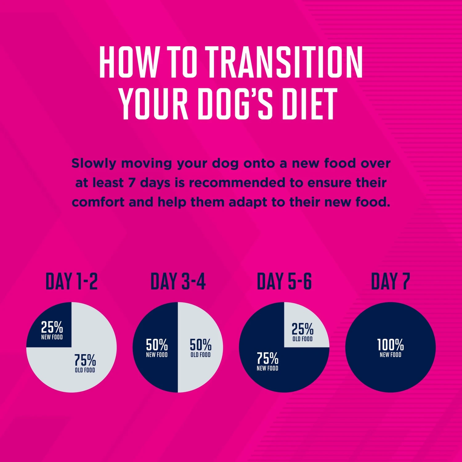 Eukanuba Puppy Lamb 1st Ingredient Dry Dog Food 9 Eukanuba Puppy Lamb 1st Ingredient Dry Dog Food - Image 7