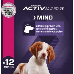 Eukanuba Puppy Medium Breed Dry Dog Food 14 Eukanuba Puppy Medium Breed Dry Dog Food -Blue Buffalo || ROYAL CANIN || Wellness Sales 552334 PT5. AC SS1800 V1658217345