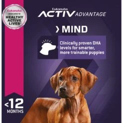 Eukanuba Puppy Large Breed Dry Dog Food -Blue Buffalo || ROYAL CANIN || Wellness Sales 552358 PT5. AC SS1800 V1653580908