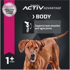 Eukanuba Adult Large Breed Lamb 1st Ingredient Dry Dog Food -Blue Buffalo || ROYAL CANIN || Wellness Sales 552366 PT4. AC SS1800 V1677085126